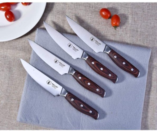 Best Steak Knife Set