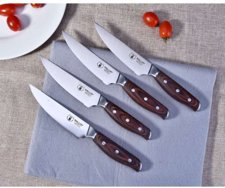 Top 10 Best Steak Knife Set Reviews 2023