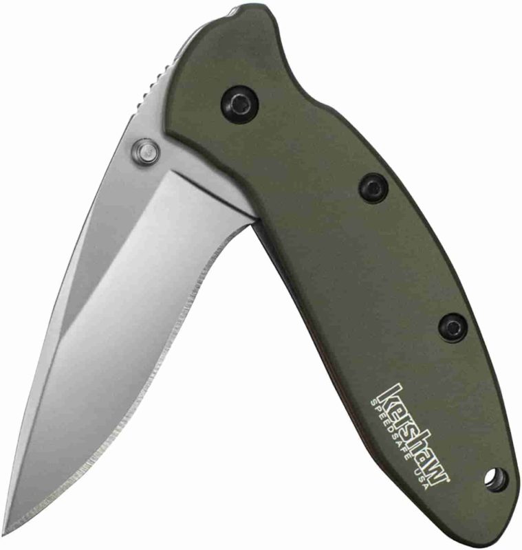 Kershaw Scallion Pocket Knife