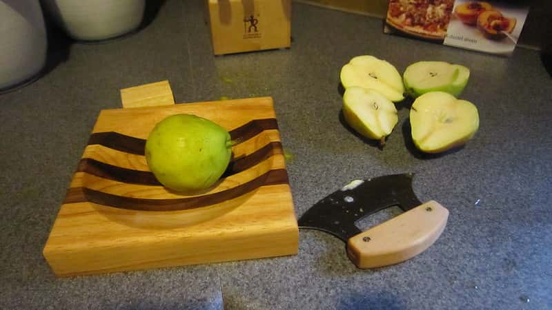 Alaskan Ulu Knife