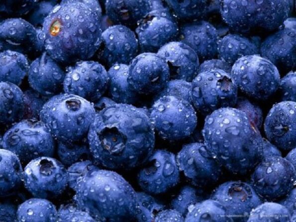 How to freeze blueberries